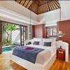 Grand One Bedroom Rice field View Villa with Private Pool and Jacuzzi